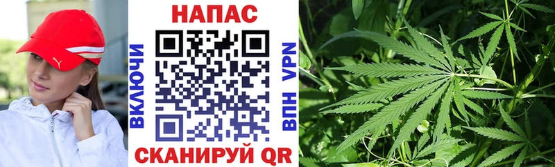 Купить  Струнино  МАРИХУАНА THC 21% 